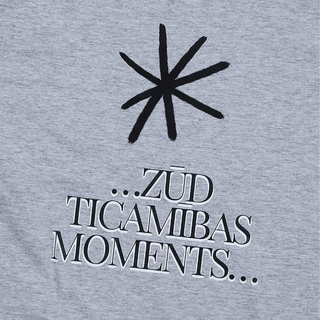 Kokvilnas T-krekls "Zūd ticamības moments" | pelēks